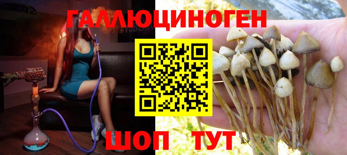 Псилоцибиновые грибы мицелий  Вход с VPN  купить наркотики цена  Шали 